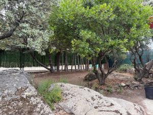 a park with trees and large rocks and trees at La Casa del Encinar in Valdemorillo