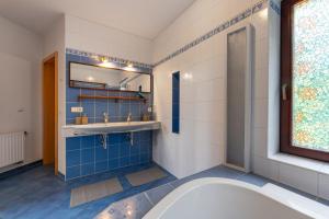 a bathroom with a sink and a mirror at Vila Fénix in Kutná Hora +32 photos