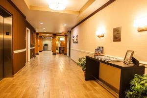 Gallery image of Comfort Inn & Suites Akron South in Akron