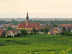 a village with a church on a green field at Le Clos d'Ingersheim in Ingersheim