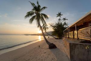 a palm tree on a beach with the ocean at Pao Jin Poon Villa in Lamai