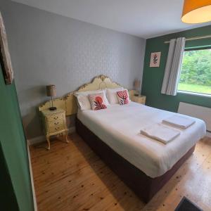 a bedroom with a bed with two pillows on it at Ely House B&B in Shannonbridge