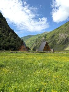 two barns in a field with mountains in the background at Take A Brake Kazbegi Cottage in Kazbegi