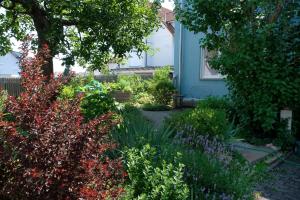 a garden with flowers and plants in front of a house at Haus im Ländle in Volkertshausen