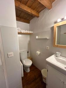 a white bathroom with a toilet and a sink at Cal Toni de Vilallobent in Vilallovent +44 photos