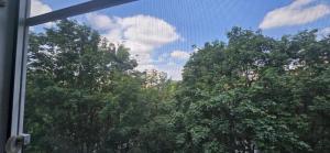 a view of some trees from a window at Three Rooms Comfort in Chişinău