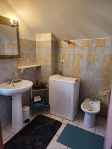 a bathroom with a sink and a toilet at L'Escapade de Zillis in Zillisheim