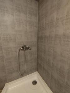 a bathroom with a shower with a toilet in it at Owls' house B&B in Skriaudžiai