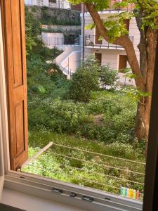 ein Fenster mit Blick auf ein Grasfeld in der Unterkunft Rivabahn in Triest + 18 Fotos