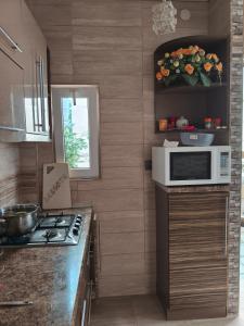 a kitchen with a stove and a microwave at La Kosta Zatoka in Zatoka