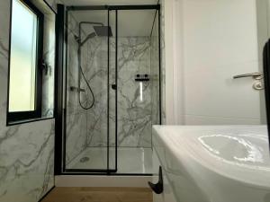 a bathroom with a shower and a sink at Luxury Houseboat Wolphaartsdijk VP109 in Wolphaartsdijk +44 photos