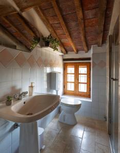 a bathroom with a sink and a toilet at Il Casone di Rigomagno in Rigomagno