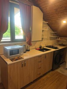 a kitchen with a microwave on top of a counter at Guest House Riverside in Borjomi +7 photos