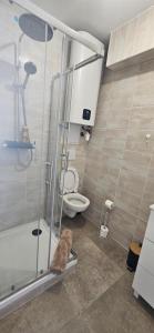 a bathroom with a toilet and a glass shower at L'escalade Lyon Aéroport in Janneyrias +8 photos