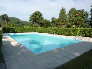 a swimming pool in a yard with a hedge at BlueVille21 in Germignaga
