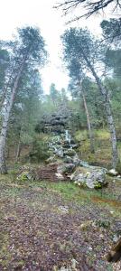 a rocky hill with trees and a stream in a field at AMANITA VuT in Huerta del Rey