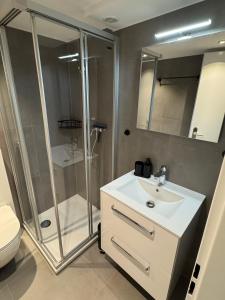 a bathroom with a shower and a sink and a toilet at Studio alpin au centre de la station in Saas-Fee