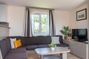 a living room with a couch and a tv at Chalet dichtbij strand Vrouwenpolder in Serooskerke