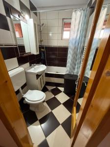 a bathroom with a toilet and a sink at Cozy Râșnov in Râşnov