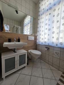 a bathroom with a sink and a toilet and a mirror at Plauen-West in Plauen