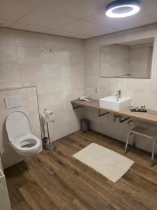 a bathroom with a toilet and a sink at Herberg de Griffioen in Wolphaartsdijk