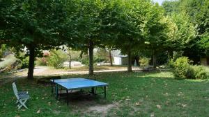 a blue ping pong table and a chair in a yard at A l'orée du bois - Chambres d'hôtes in Hostun