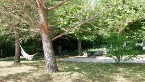 a hammock in the middle of a yard with trees at A l'orée du bois - Chambres d'hôtes in Hostun