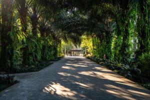 a path lined with palm trees in a park at ONYX PARK RESORT Ubud in Ubud
