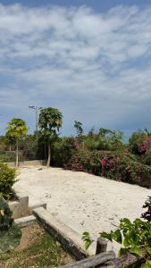 a sandy area with flowers and bushes on a beach at ZanziBlue Beach Hotel in Mfumbwi