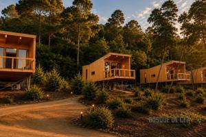 a row of modular homes in a forest at Bosque de Cea in Nigrán