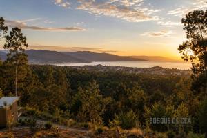 a view of the lake from the top of a hill at Bosque de Cea in Nigrán