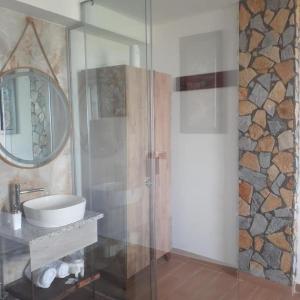 a bathroom with a sink and a shower with a mirror at Vila Shehi Guesthouse and Winery in Tirana