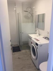 a bathroom with a washing machine and a sink at Dizengoff 24A in Netanya +1 photo