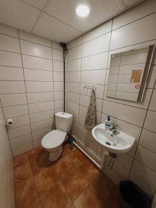 a bathroom with a toilet and a sink at Pargi apartment 2 in Viljandi