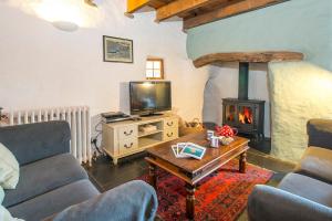 a living room with a tv and a fireplace at Melin Abereiddy in Haverfordwest