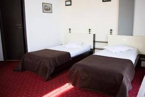 two beds in a room with red carpet at GP Hotel StarCity in Tătărani