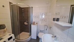a bathroom with a shower and a toilet and a sink at Apartment Succulenta in Crno