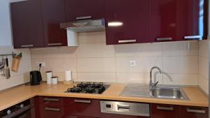 a kitchen with a sink and a stove top oven at Apartment Succulenta in Crno