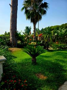 a green yard with two palm trees and flowers at Villa Kepos in Arnesano