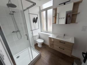 a bathroom with a shower and a toilet and a sink at ecuires 1 in Écuires