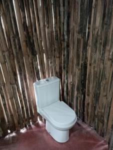 a toilet in a room with a wooden wall at Casinha da Roça Java in Santa Adelaide