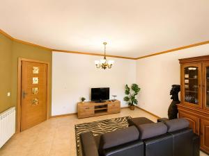 a living room with a couch and a television at Caramulo Valley View in Campo de Besteiros