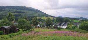 a village with a hill in the distance with purple flowers at Komfort-Ferienwohnung gierskopp.pur in Olsberg