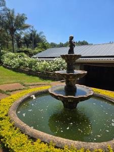 a fountain in the middle of a garden at Phumula Farm Guesthouse in Nhlangano