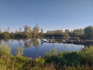 a view of a lake with trees in the background at Le Dom'Mino in Condé-Folie