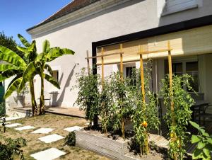 a house with a bunch of plants in front of it at Gîte la Bourgeoise in Bléré