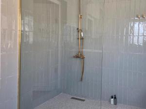 a bathroom with a shower with blue tiles at Paul René Manor House in Robertson +5 photos