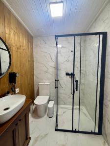 a bathroom with a shower and a toilet and a sink at Pletey house in Verkhovyna
