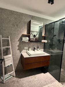a bathroom with a sink and a shower and a mirror at Dolce Vita Appartment in Schärding