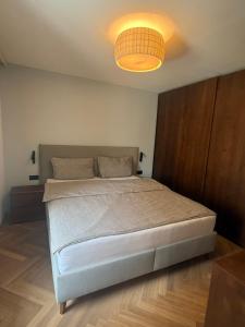 a bedroom with a bed with a light on the ceiling at Dolce Vita Appartment in Schärding +7 photos